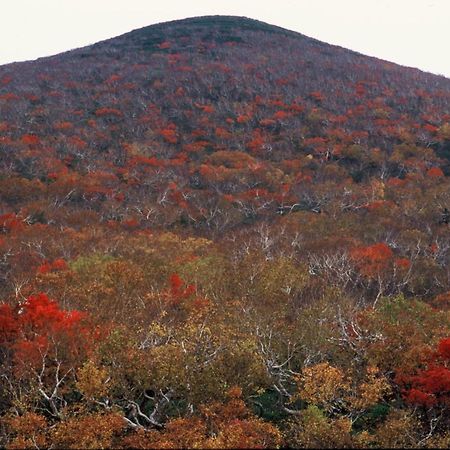 Ny Building 4Th Floor, Guest House Ichibangai, Roo / Vacation Stay 55905 Kitami Esterno foto