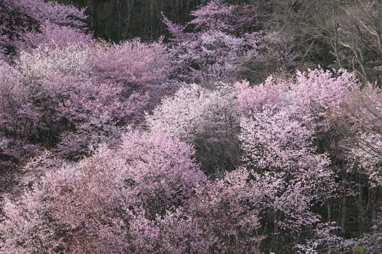 Ny Building 4Th Floor, Guest House Ichibangai, Roo / Vacation Stay 55905 Kitami Esterno foto